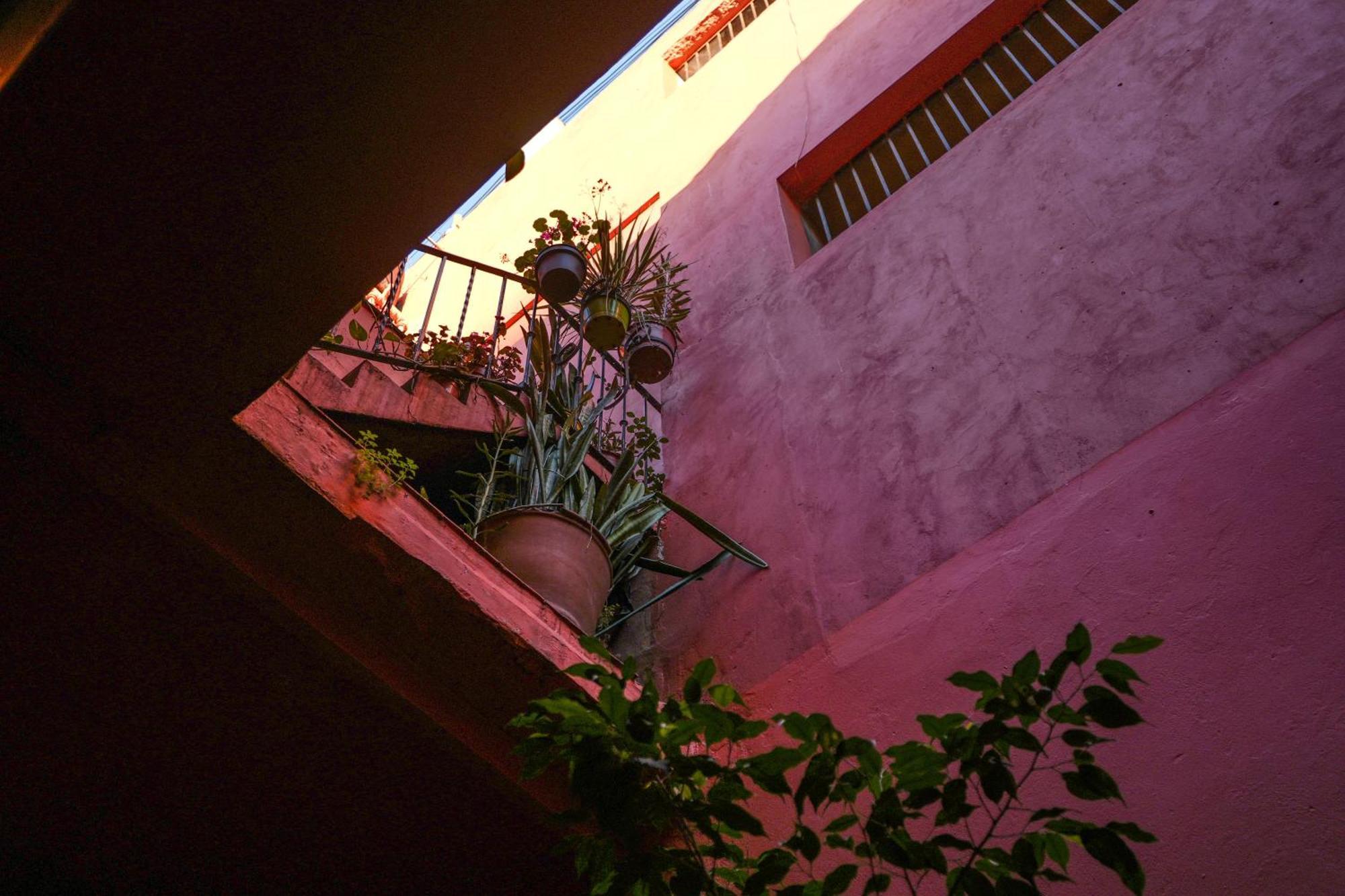 Viavia Bsas Guesthouse 324 บัวโนสไอเรส ภายนอก รูปภาพ